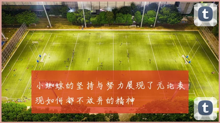 小蜘蛛的坚持与努力展现了无论表现如何都不放弃的精神