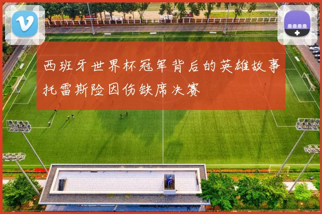 西班牙世界杯冠军背后的英雄故事托雷斯险因伤缺席决赛